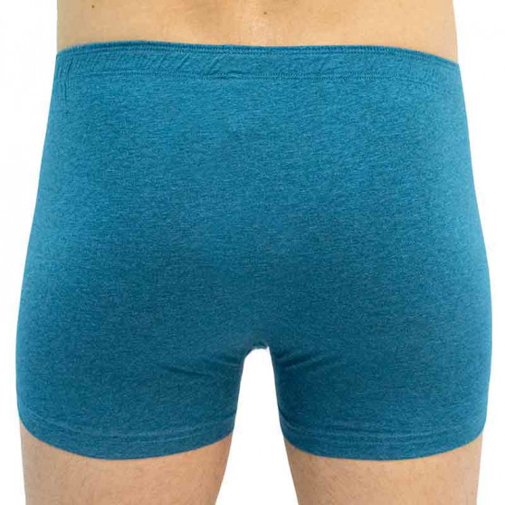 Boxershorts för herrar Gino petrol (73100)