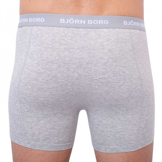 5PACK Boxershorts för herrar Bjorn Borg multicolour (2031-1041-81421)