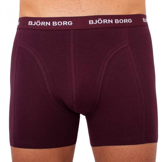 5PACK Boxershorts för herrar Bjorn Borg multicolour (2031-1041-81421)