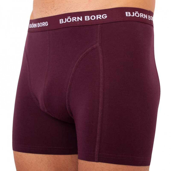 5PACK Boxershorts för herrar Bjorn Borg multicolour (2031-1041-81421)