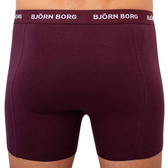 5PACK Boxershorts för herrar Bjorn Borg multicolour (2031-1041-81421)