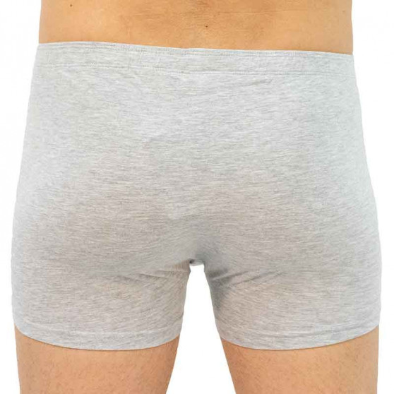 Boxershorts för herrar Gino grå (73092)