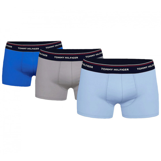 3PACK Boxershorts för herrar Tommy Hilfiger multicolour (1U87903842 0T1)