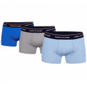 3PACK Boxershorts för herrar Tommy Hilfiger multicolour (1U87903842 0T1)