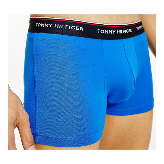 3PACK Boxershorts för herrar Tommy Hilfiger multicolour (1U87903842 0T1)