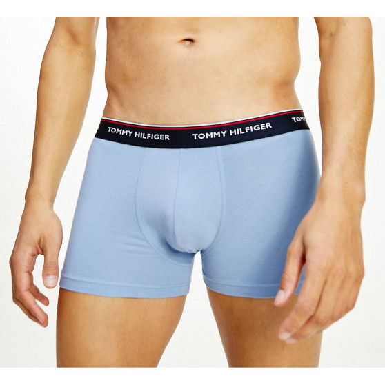 3PACK Boxershorts för herrar Tommy Hilfiger multicolour (1U87903842 0T1)