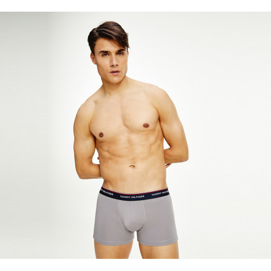 3PACK Boxershorts för herrar Tommy Hilfiger multicolour (1U87903842 0T1)