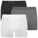 3PACK Boxershorts för herrar Levis multicolour (905045001 010)