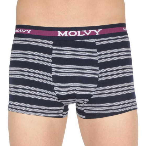 Boxershorts för män Molvy multicolour (MP-1031-BEU)