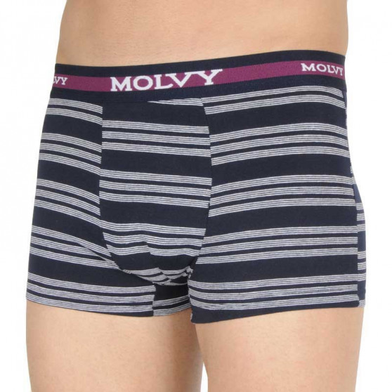 Boxershorts för män Molvy multicolour (MP-1031-BEU)