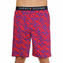 Shorts för män Tommy Hilfiger multicolour (UM0UM01765 0NX)