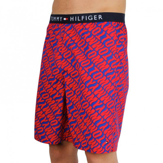 Shorts för män Tommy Hilfiger multicolour (UM0UM01765 0NX)