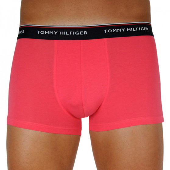 3PACK Boxershorts för herrar Tommy Hilfiger multicolour (1U87903842 0V0)