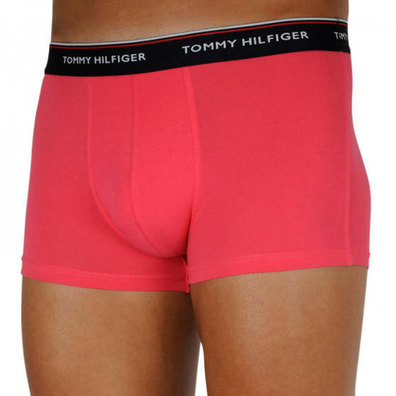 3PACK Boxershorts för herrar Tommy Hilfiger multicolour (1U87903842 0V0)