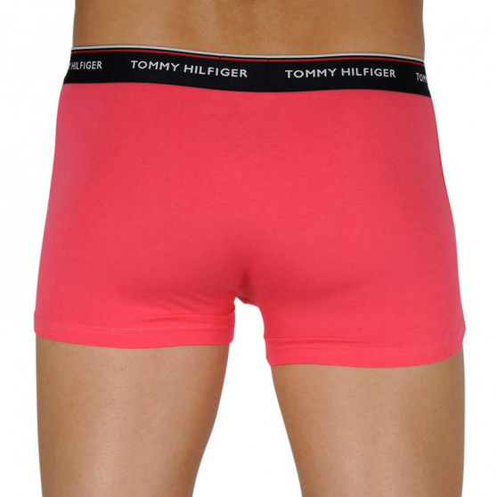 3PACK Boxershorts för herrar Tommy Hilfiger multicolour (1U87903842 0V0)