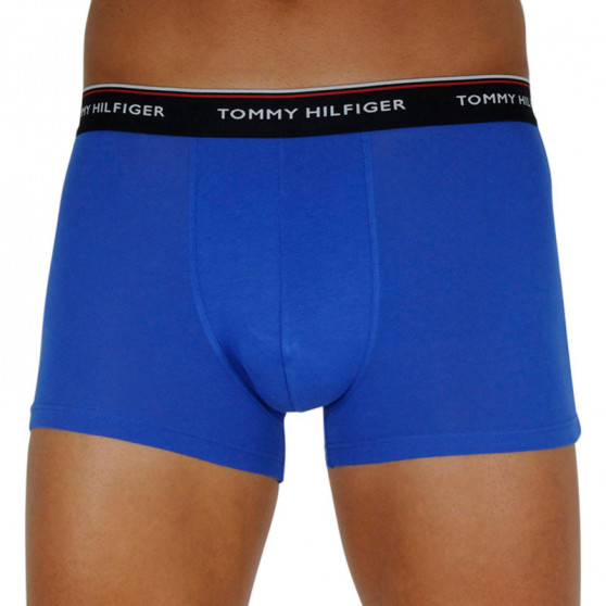 3PACK Boxershorts för herrar Tommy Hilfiger multicolour (1U87903842 0V0)