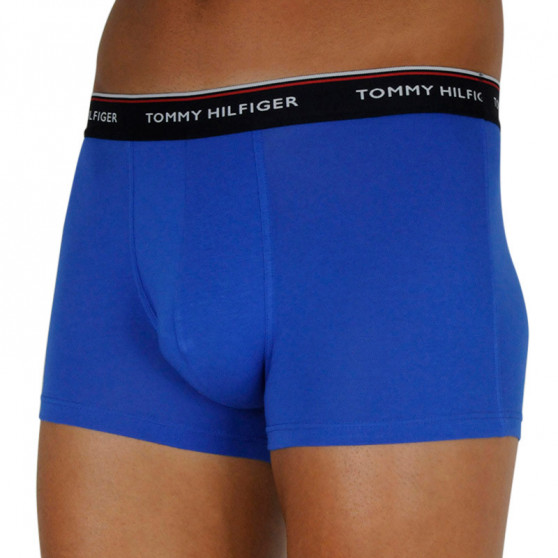 3PACK Boxershorts för herrar Tommy Hilfiger multicolour (1U87903842 0V0)