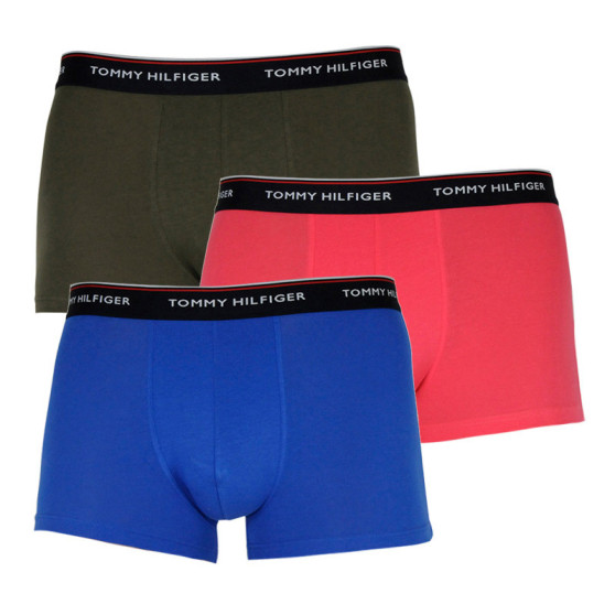 3PACK Boxershorts för herrar Tommy Hilfiger multicolour (1U87903842 0V0)