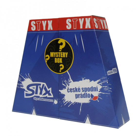 MYSTERY BOX - 5PACK damshorts  sport elastisk flerfärgad Styx