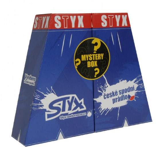 MYSTERY BOX - 5PACK damshorts  klassisk resår flerfärgad Styx