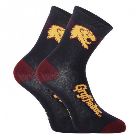 2PACK Barnstrumpor E plus M Harry Potter flerfärgad (GRYFFINDOR-A)