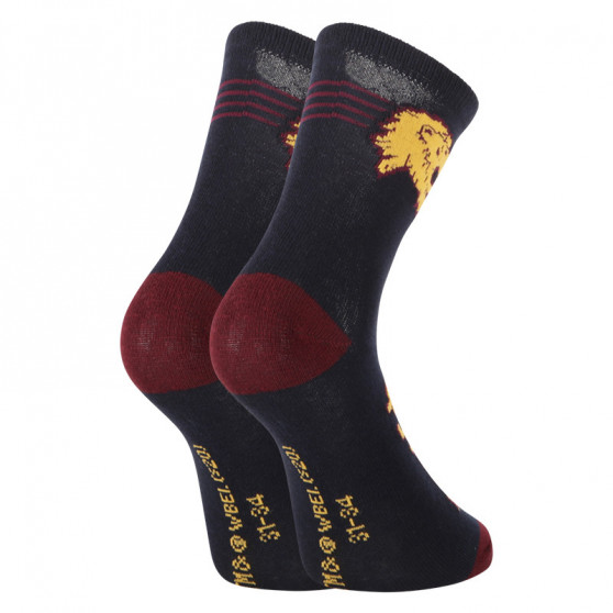 2PACK Barnstrumpor E plus M Harry Potter flerfärgad (GRYFFINDOR-A)