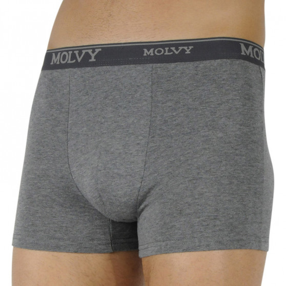 Boxershorts för herrar Molvy grå (MP-969-BEU)