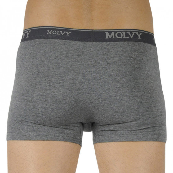 Boxershorts för herrar Molvy grå (MP-969-BEU)