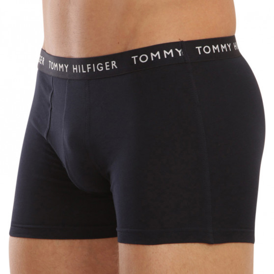 3PACK Boxershorts för herrar Tommy Hilfiger mörkblå (UM0UM02203 0SF)