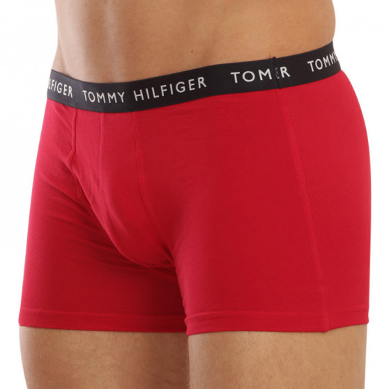 3PACK Boxershorts för herrar Tommy Hilfiger multicolour (UM0UM02203 0XI)