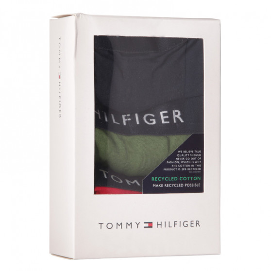 3PACK Boxershorts för herrar Tommy Hilfiger multicolour (UM0UM02203 0XI)