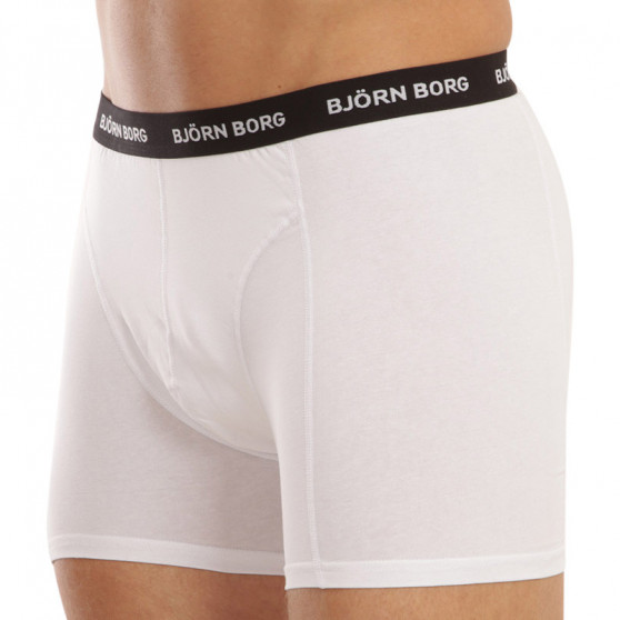 5PACK Boxershorts för herrar Bjorn Borg multicolour (10000814-MP001)