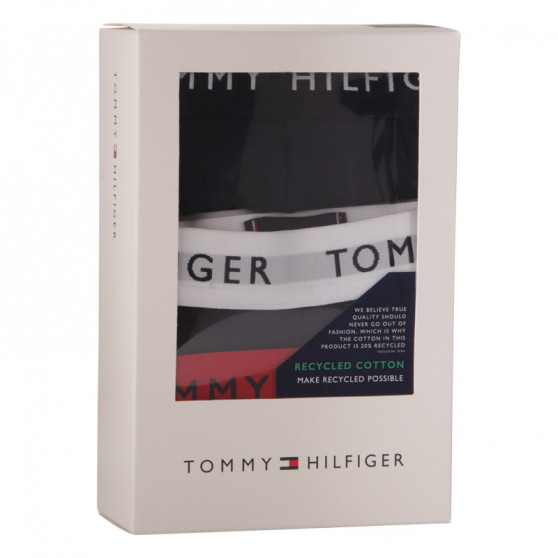 3PACK Boxershorts för herrar Tommy Hilfiger mörkblå (UM0UM02324 0SE)