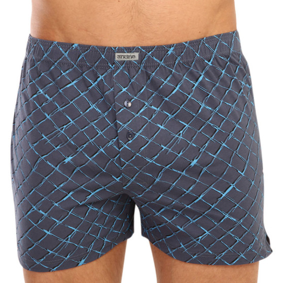 boxershorts för herrar Andrie grå (PS 5561 D)