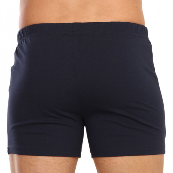 2PACK Shorts för män Molvy flerfärgad (KP-077-BBU)