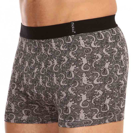 2PACK Boxershorts för män Molvy multicolour (KP-080-BEU)