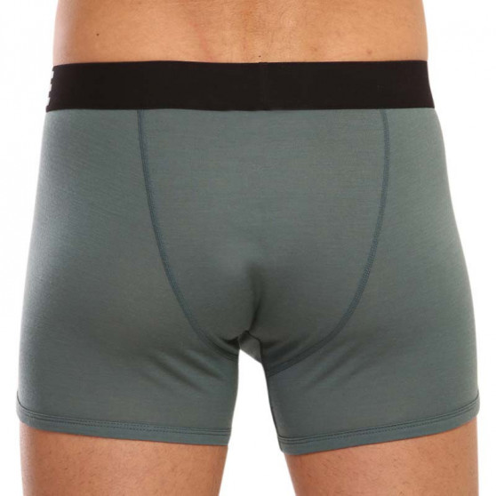 Boxershorts för herrar Mons Royale grön (100087-1169-368)