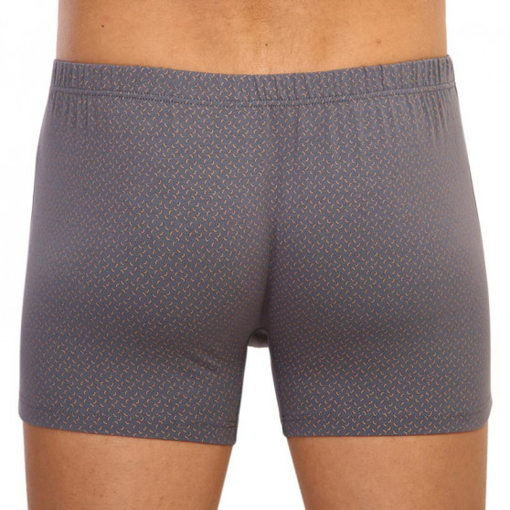 Boxershorts för herrar Andrie grå (PS 5596 B)