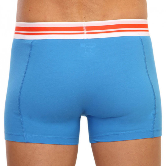 2PACK Boxershorts för herrar Puma multicolour (651003001 028)