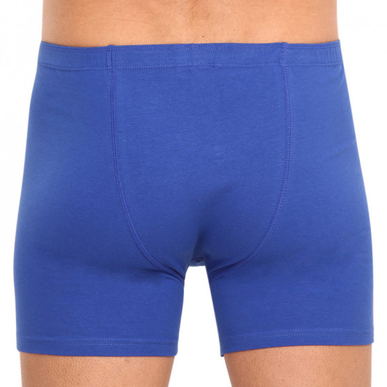 Boxershorts för herrar Gino blå (74140)