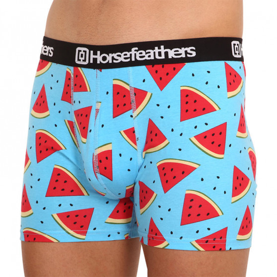 Boxershorts för män Horsefeathers Sidney Melon (AM164B)