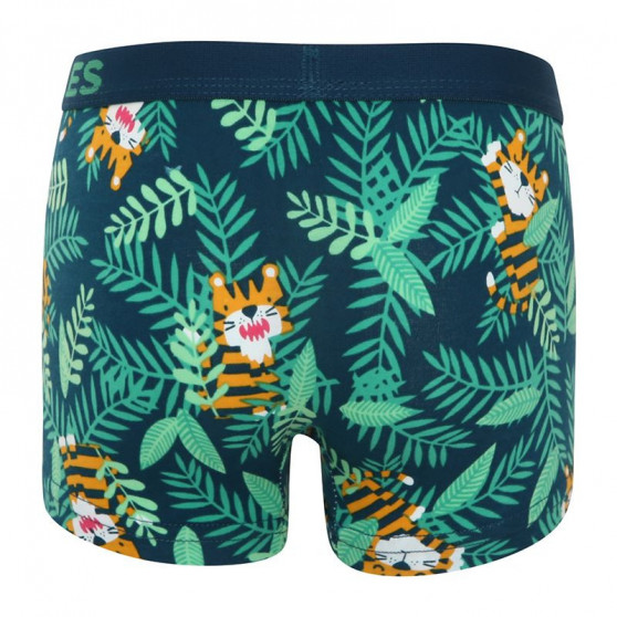 Glada boxershorts för pojkar Dedoles Tiger (GMBB047)