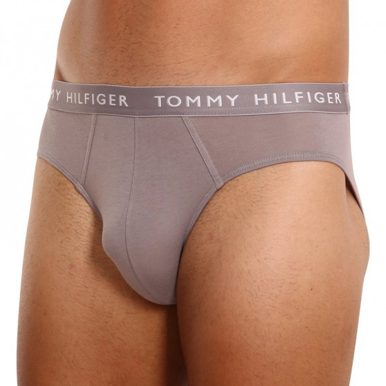 3PACK herrkalsonger Tommy Hilfiger multicolour (UM0UM02206 0TG)