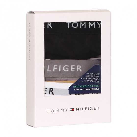 3PACK herrkalsonger Tommy Hilfiger multicolour (UM0UM02206 0TG)