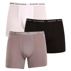 3PACK Boxershorts för herrar Tommy Hilfiger multicolour (UM0UM02204 0TG)