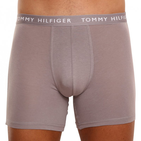 3PACK Boxershorts för herrar Tommy Hilfiger multicolour (UM0UM02204 0TG)