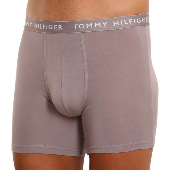 3PACK Boxershorts för herrar Tommy Hilfiger multicolour (UM0UM02204 0TG)