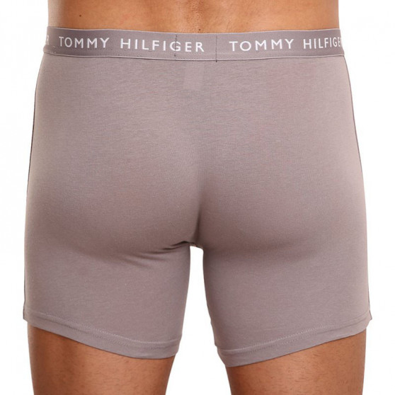 3PACK Boxershorts för herrar Tommy Hilfiger multicolour (UM0UM02204 0TG)