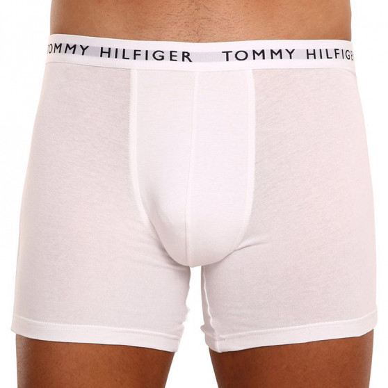 3PACK Boxershorts för herrar Tommy Hilfiger multicolour (UM0UM02204 0TG)