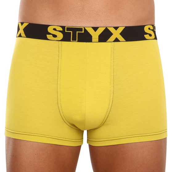 Boxershorts för herrar Styx sport gummi grön och gul (G1065)